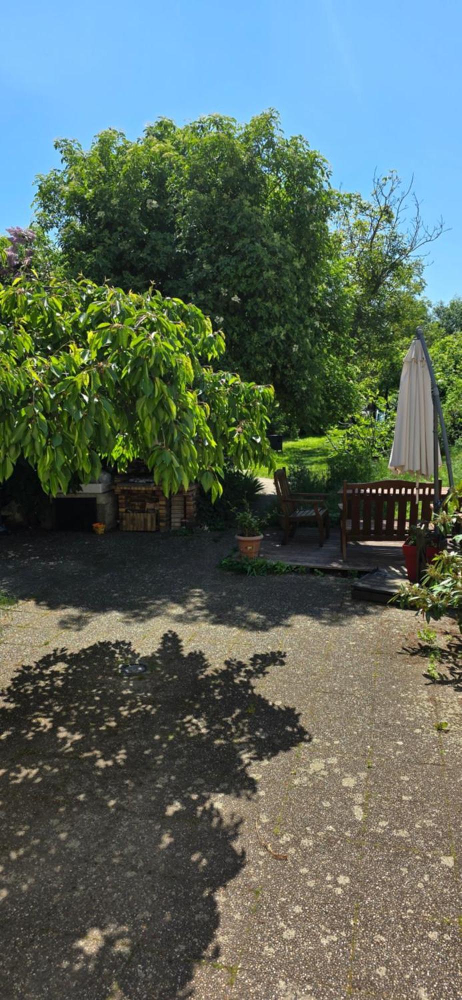 Appartement avec jardin à Colmar Exterior foto